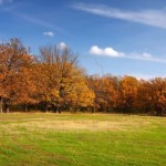 10929420-autumn-lanscape-with-oak-grove-and-green-meadow